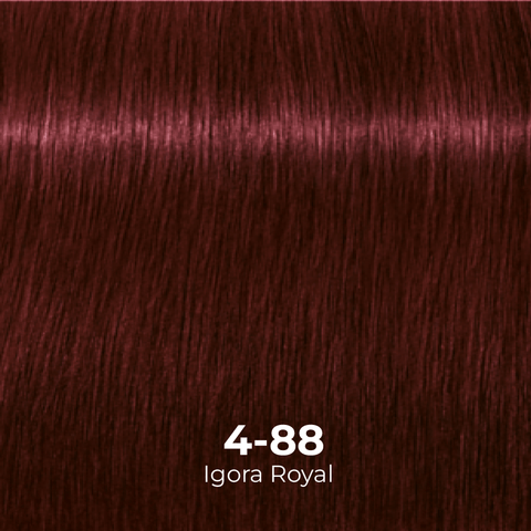 Tinte Igora Royal 4-0 Castaño Medio
