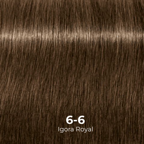 Tinte Igora Royal 6-0 Rubio Oscuro