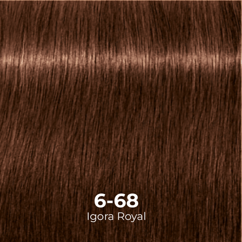 Tinte Igora Royal 6-0 Rubio Oscuro
