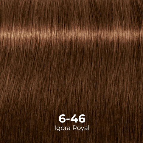 Tinte Igora Royal 6-0 Rubio Oscuro