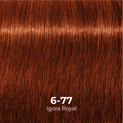 Tinte Igora Royal 6-0 Rubio Oscuro