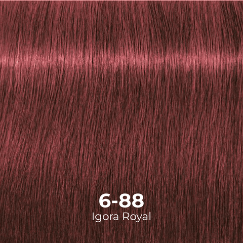 Tinte Igora Royal 6-0 Rubio Oscuro
