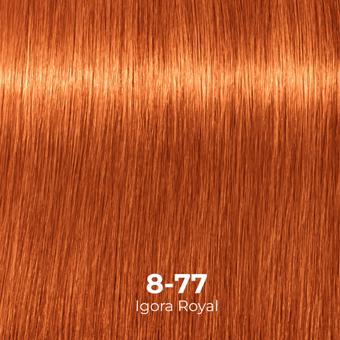 Tinte Igora Royal 8-0 Rubio Claro